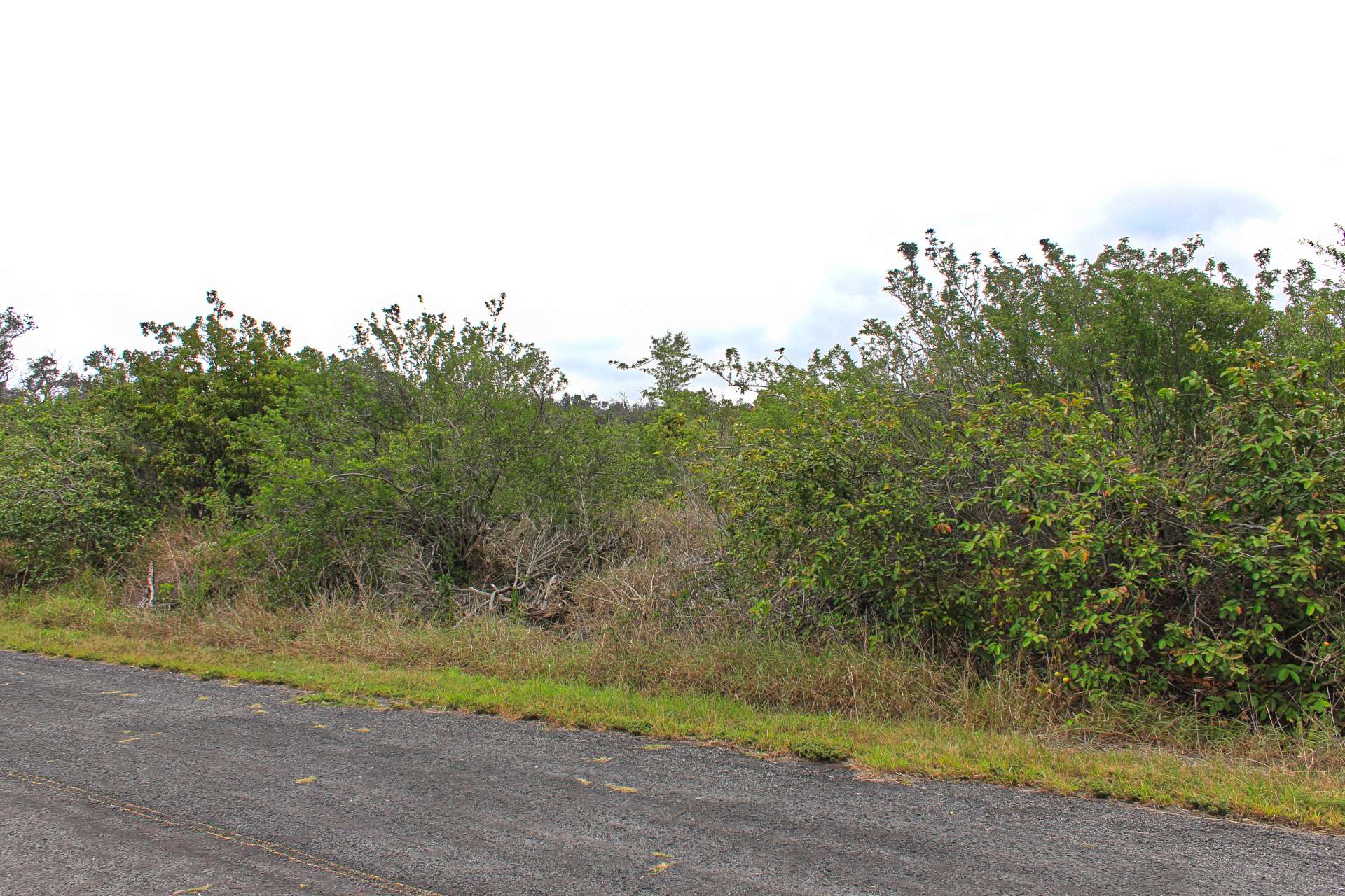 Ocean View, HI 96737,BOUGAINVILLAEA DR