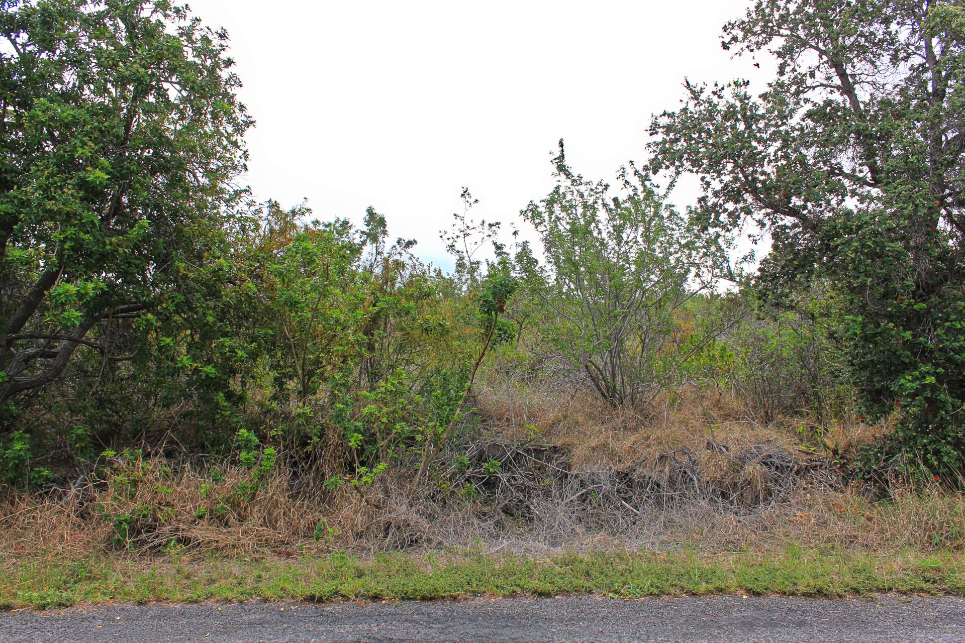 Ocean View, HI 96737,BOUGAINVILLAEA DR