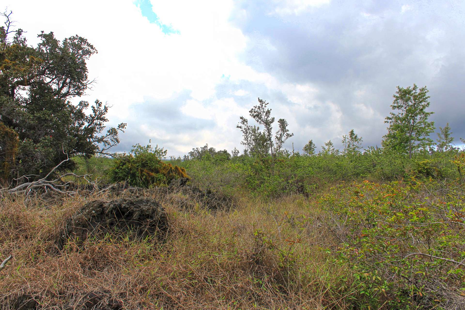 Ocean View, HI 96737,BOUGAINVILLAEA DR