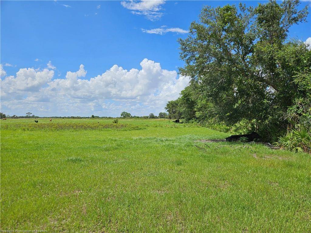 Venus, FL 33960,1000 Cattle Ranch Rd