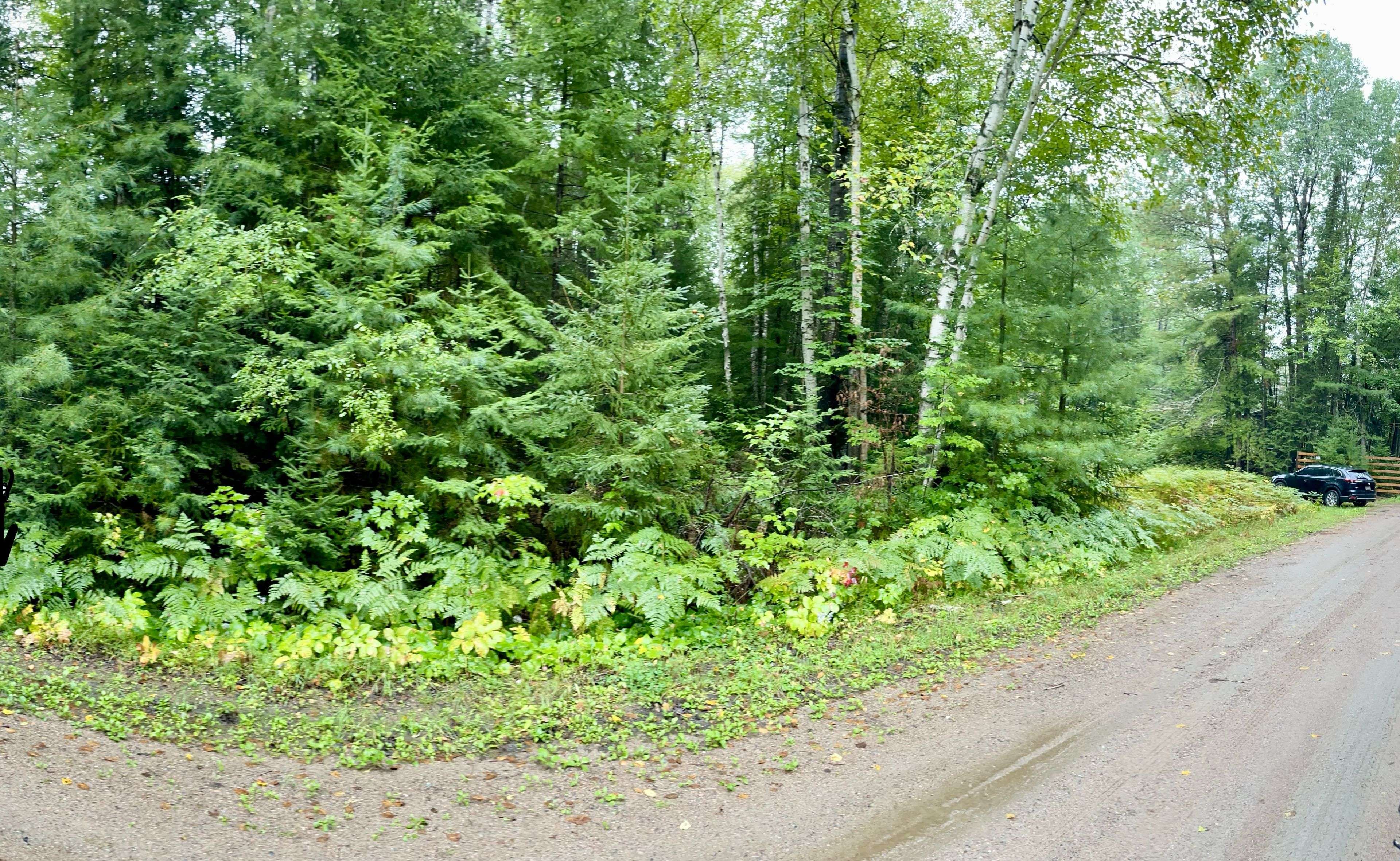 Mattawan, ON P0H 1V0,Lot 7 Mount Antoine RD