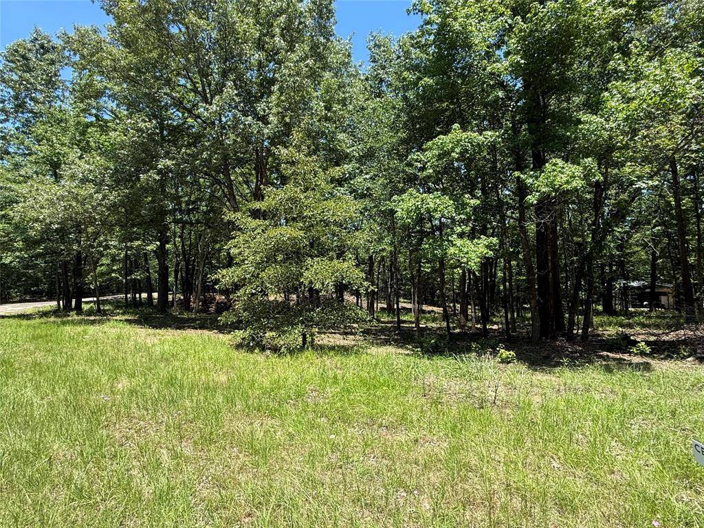 Yantis, TX 75497,TBD PR 5861 (LOT 5)