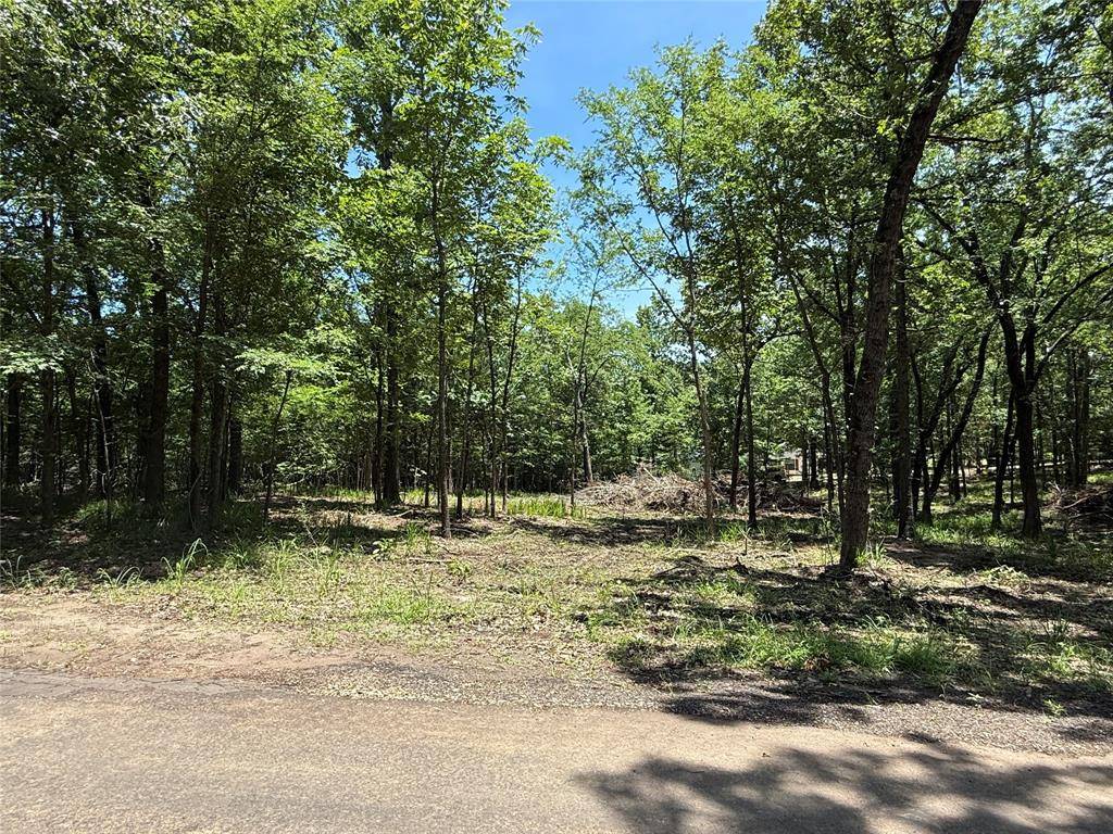 Yantis, TX 75497,TBD PR 5861 (LOT 5)