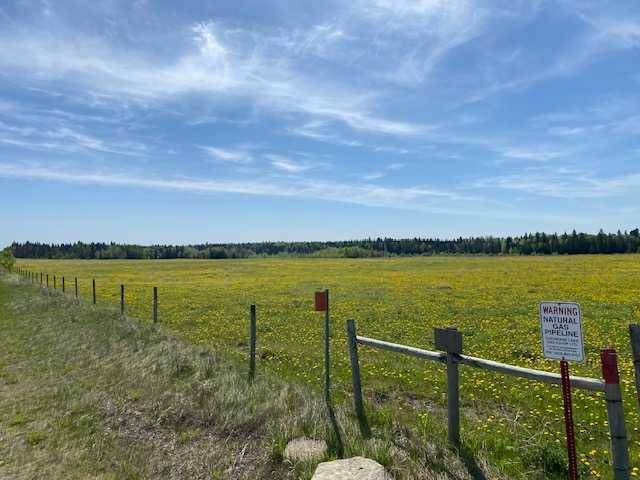 Rural Mountain View County, AB T0M 0B9,RR50