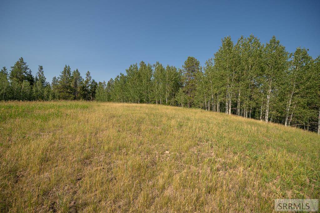 Ashton, ID 83420,Lot 11 Potpourri Drive