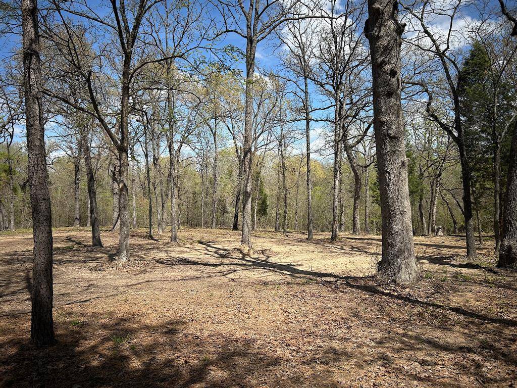 Log Cabin, TX 75148,5260 Hickock Circle