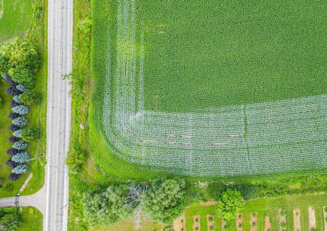 Caledon, ON L7C 2M8,0 Dixie RD