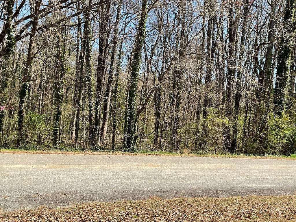 Chase City, VA 23924,Gregory Avenue