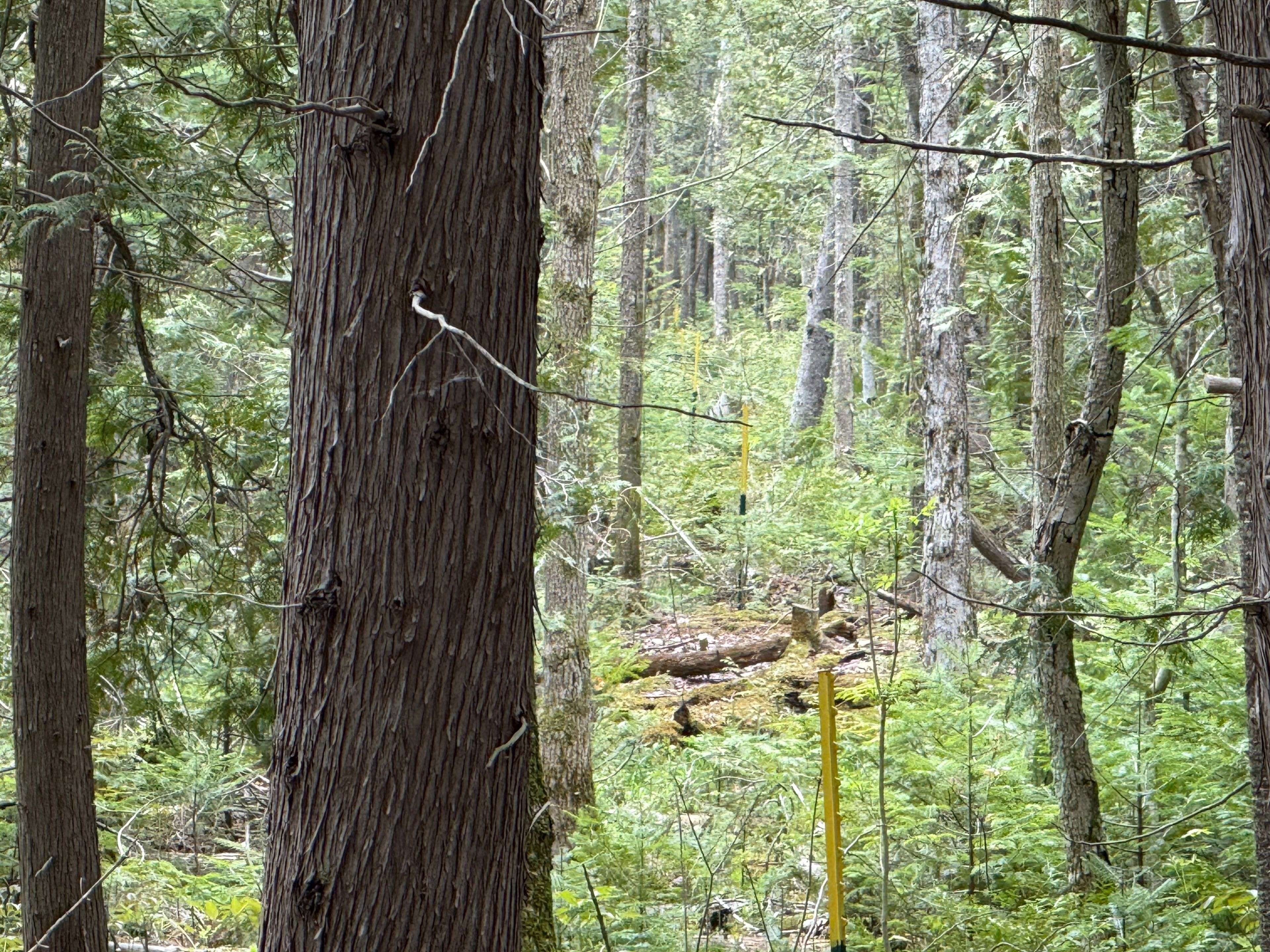 North Glengarry, ON K0C 1A0,000 Kenyon Dam RD S
