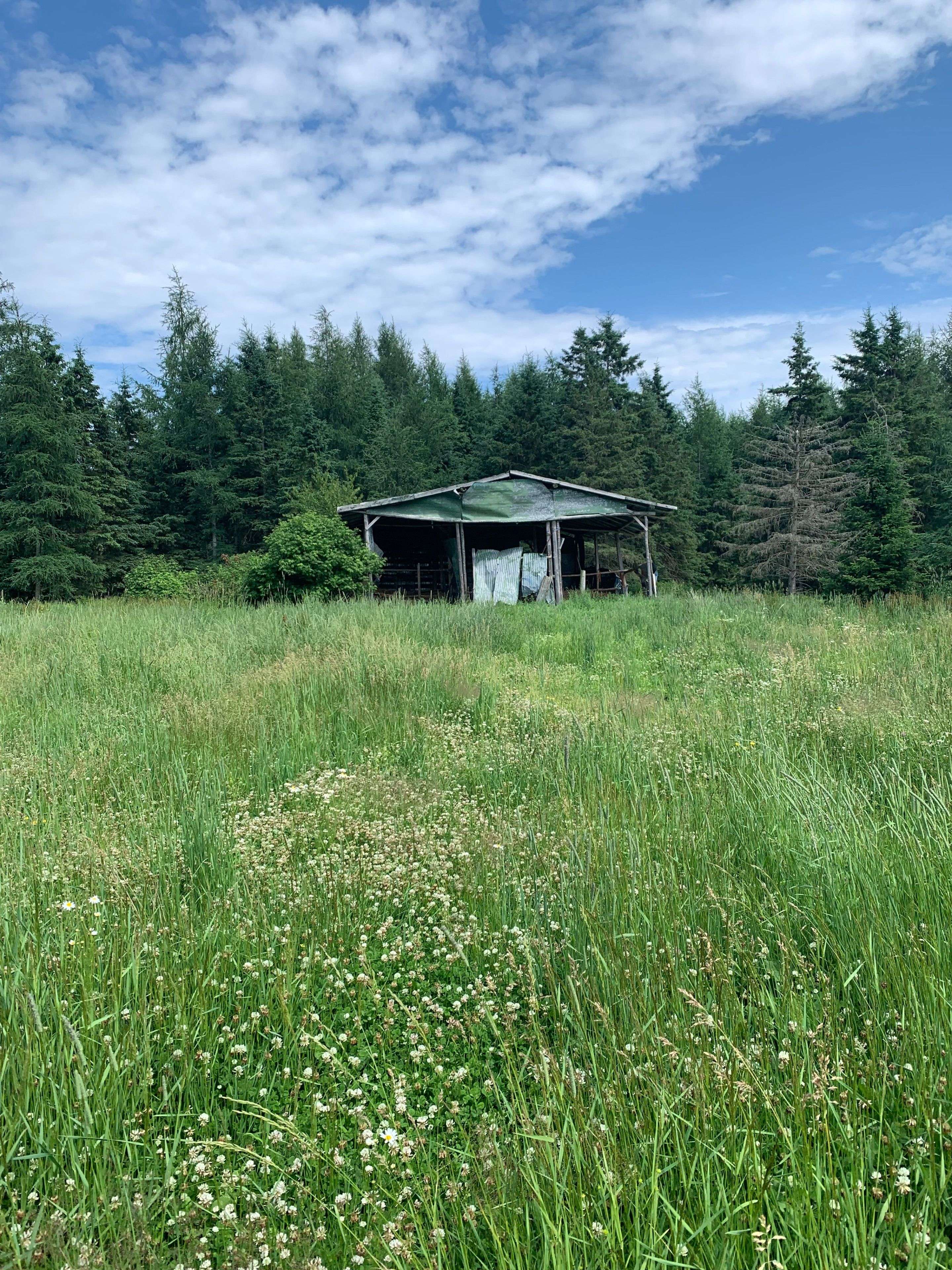Mcmurrich/monteith, ON P0A 1Y0,0 518 HWY W