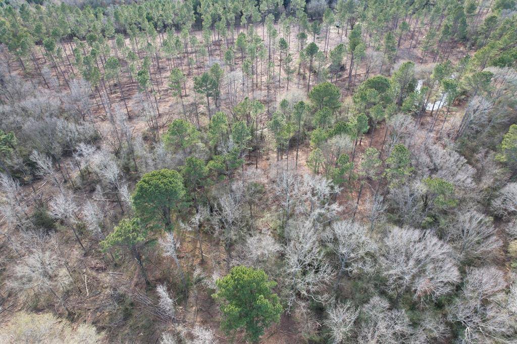Timpson, TX 75975,Tract B County Road 4037