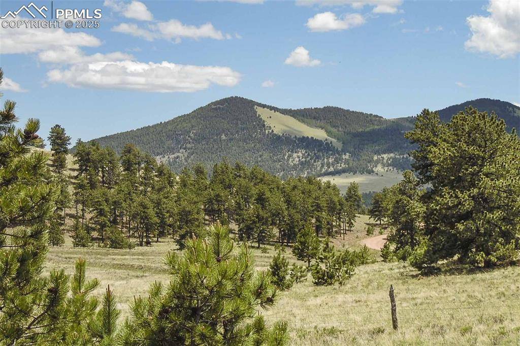 Guffey, CO 80820,129 Eagle Nest TRL