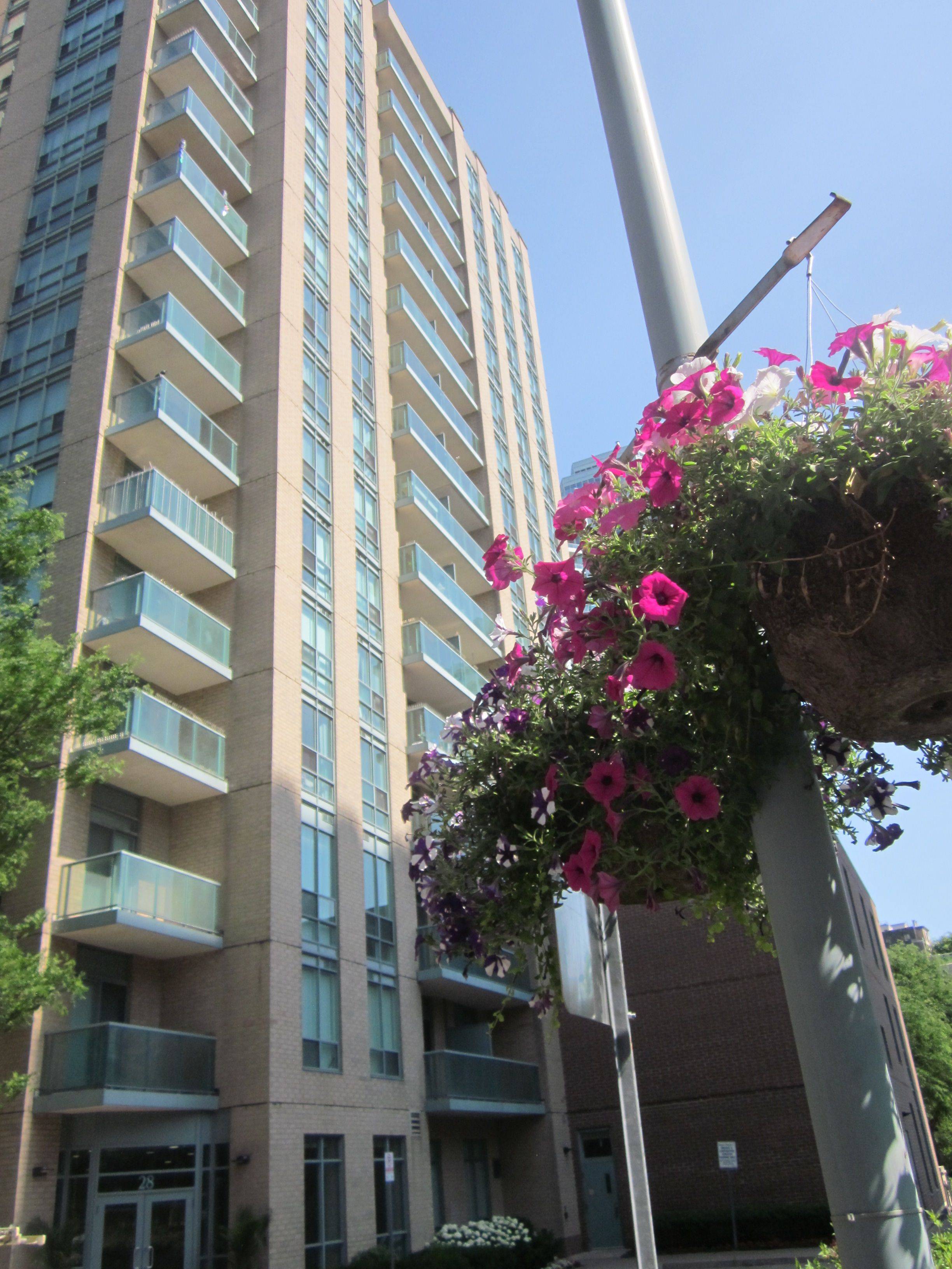 Toronto C14, ON M2N 7E6,28 Olive AVE #LPH05