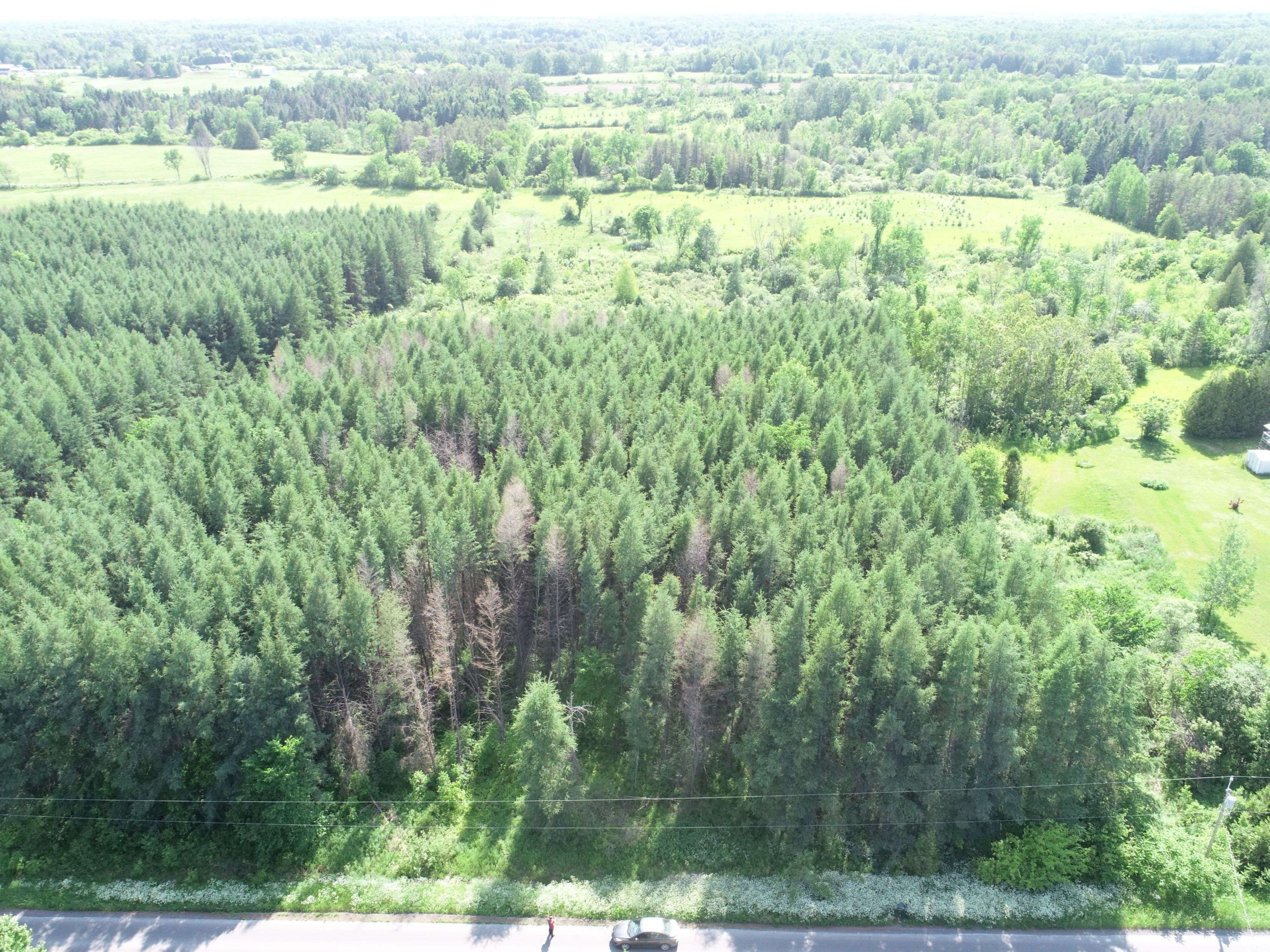 LOT Dornie RD, North Glengarry, ON K0C 1A0