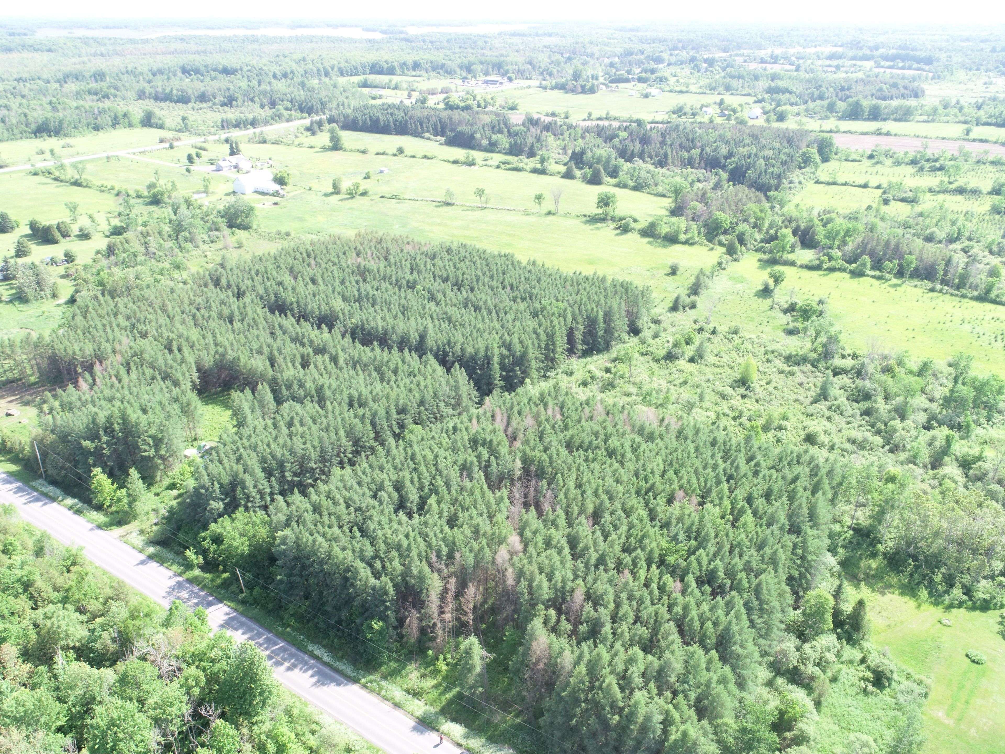 LOT Dornie RD, North Glengarry, ON K0C 1A0