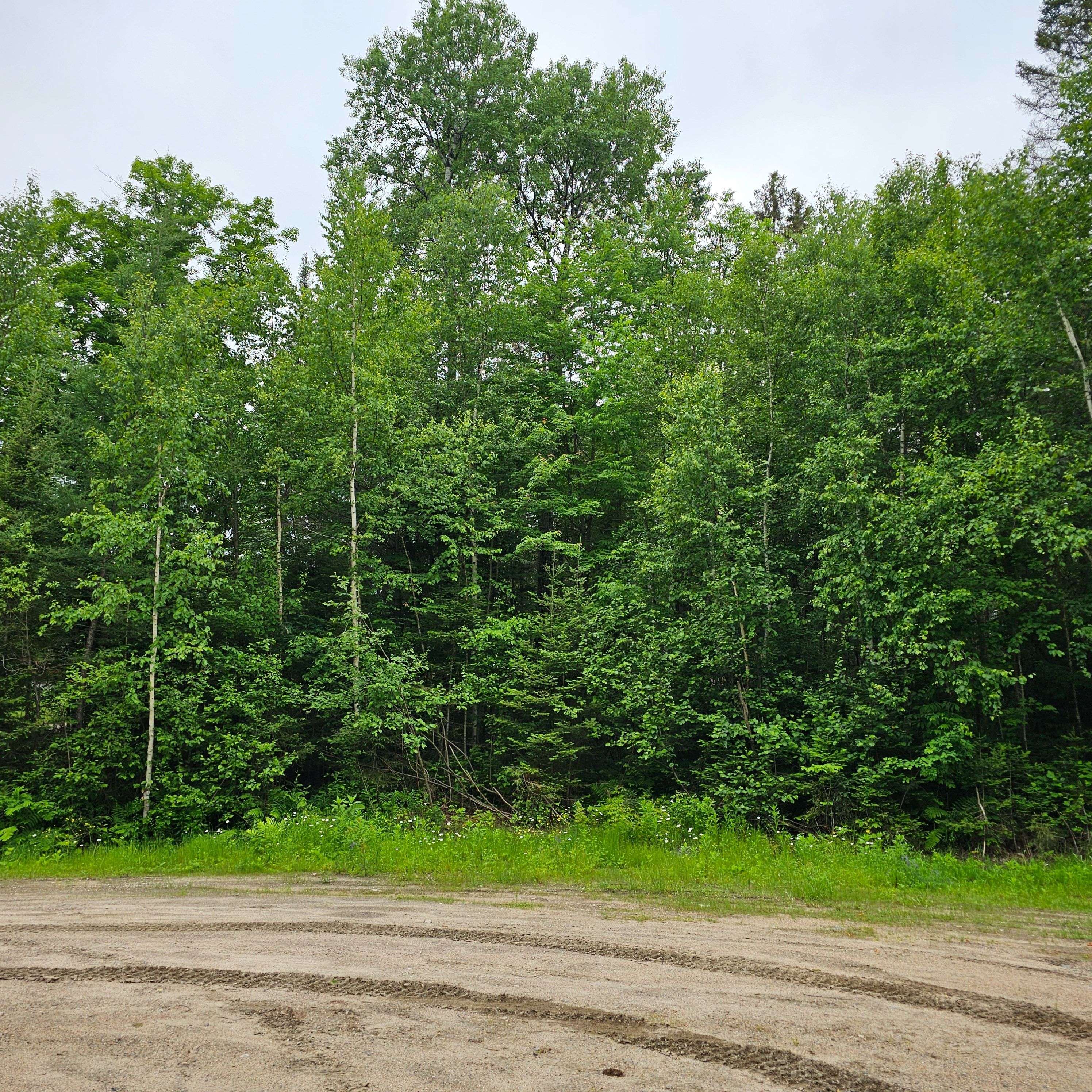 Mattawan, ON P0H 1V0,Lot 5 Arbutus TRL