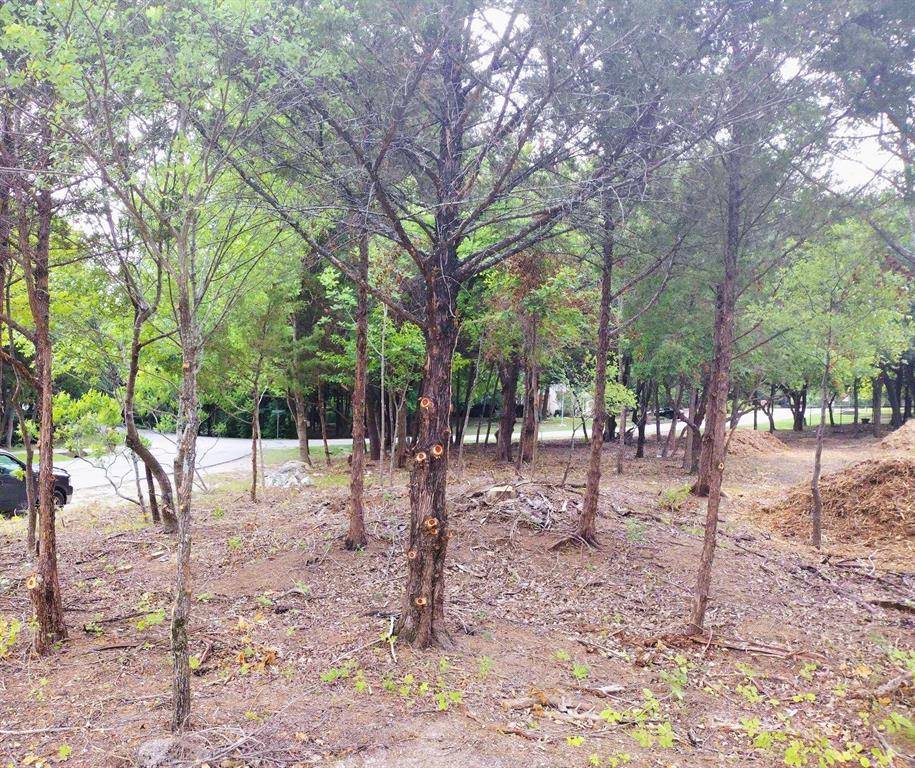 Ovilla, TX 75154,000 Woodridge Court