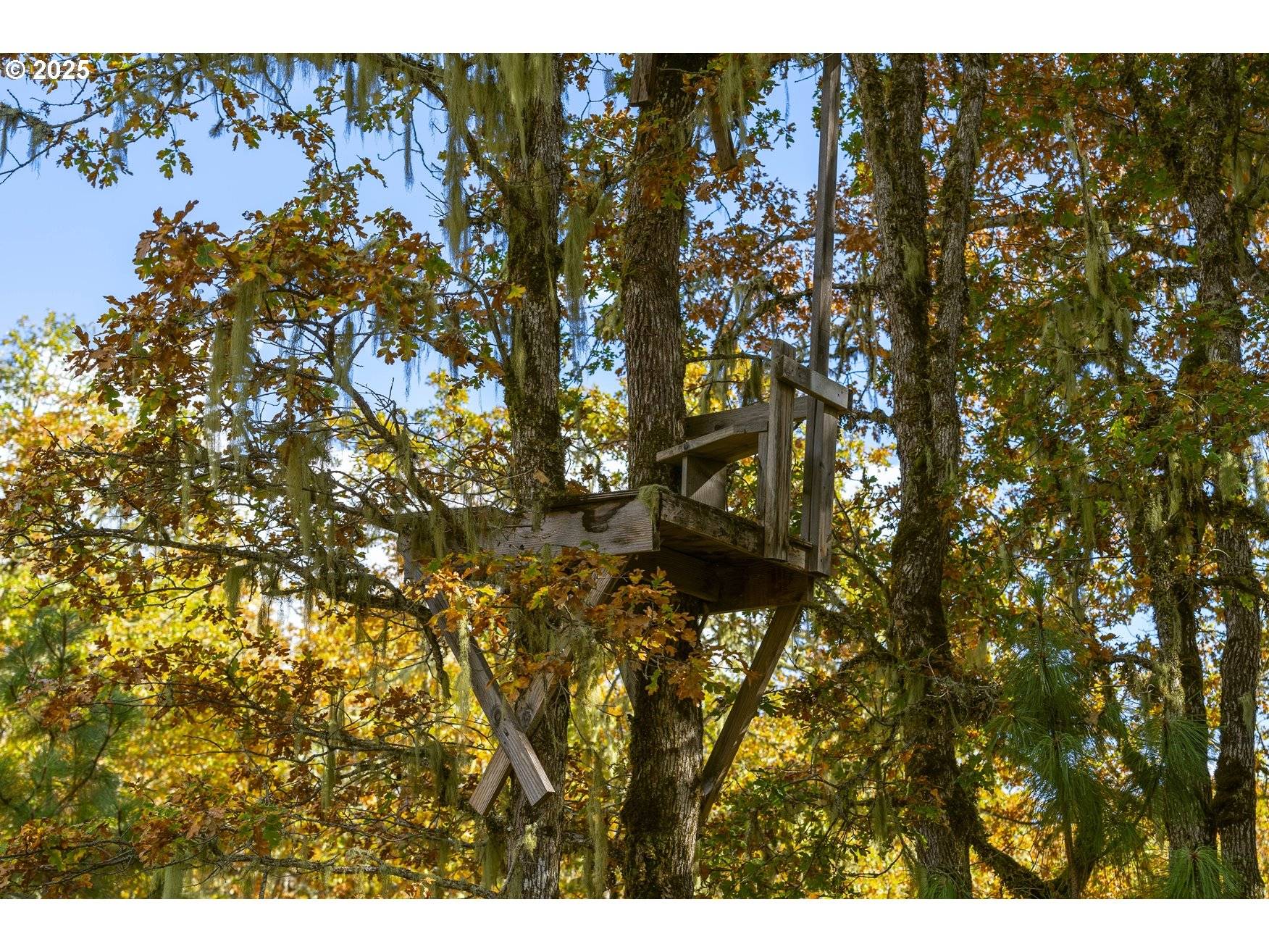 Roseburg, OR 97471,OAK HILL RD