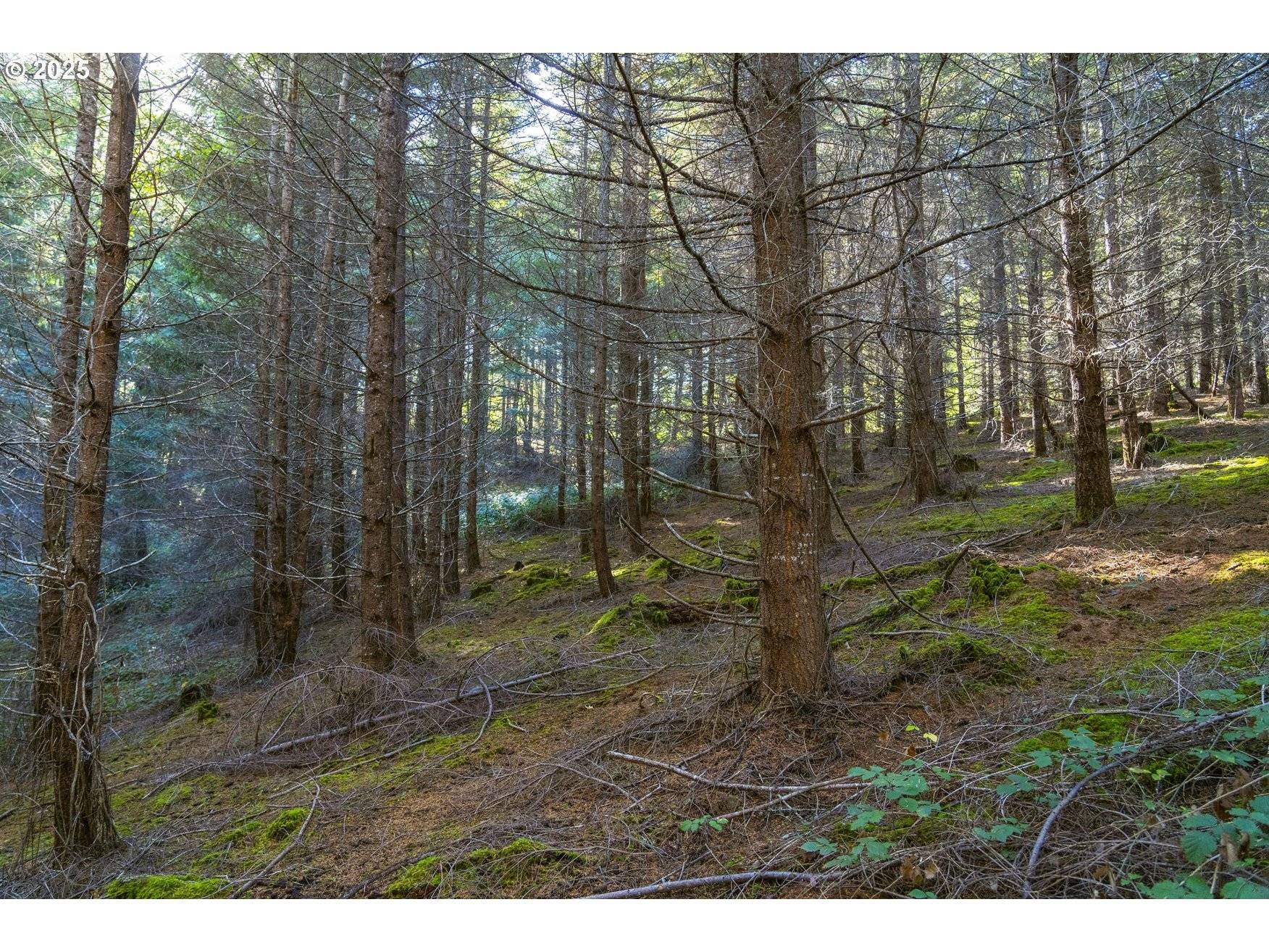 Roseburg, OR 97471,OAK HILL RD