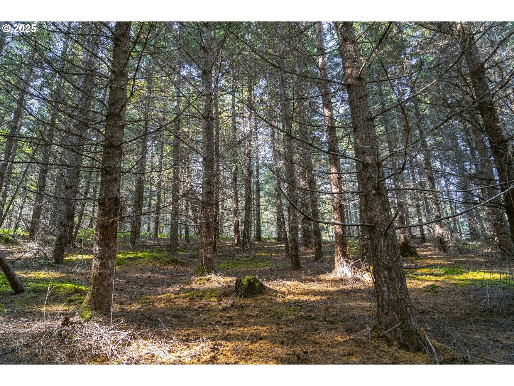 Roseburg, OR 97471,OAK HILL RD