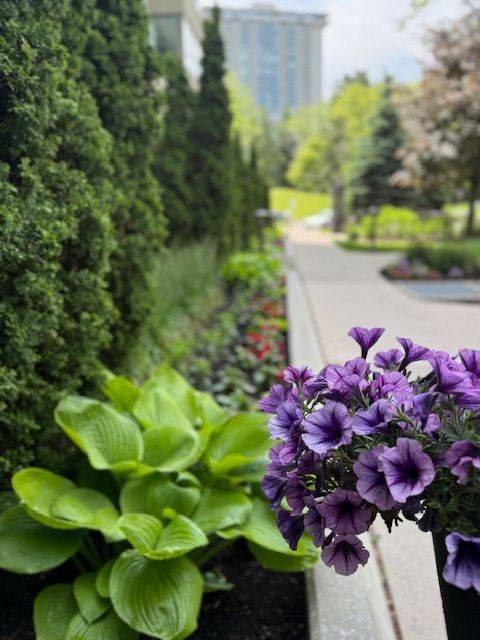 Toronto C15, ON M2H 3N4,55 Skymark DR #605