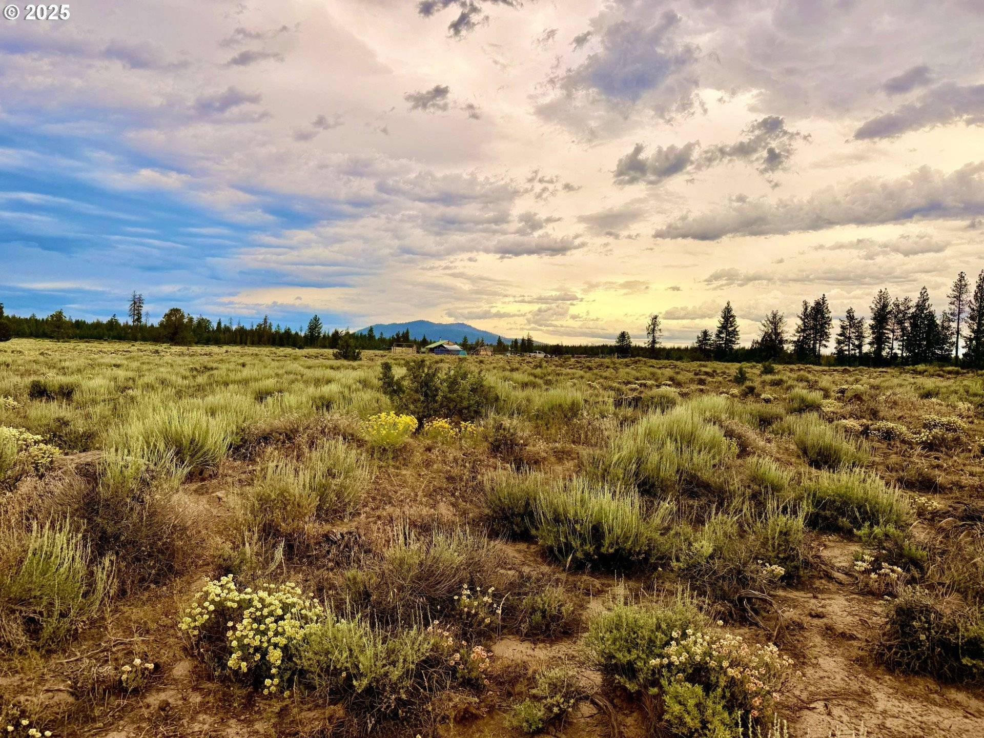 Chiloquin, OR 97624,Oregon Pines RD