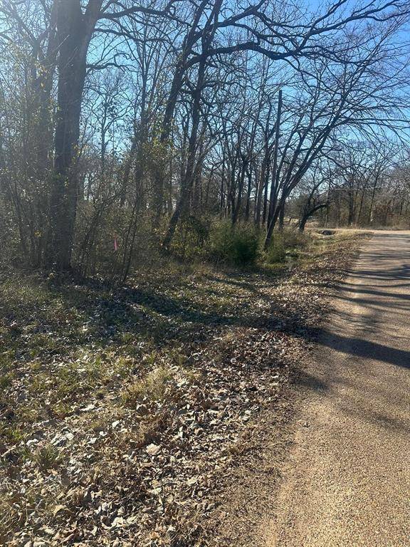 Mabank, TX 75156,6145 Indian Harbor Drive