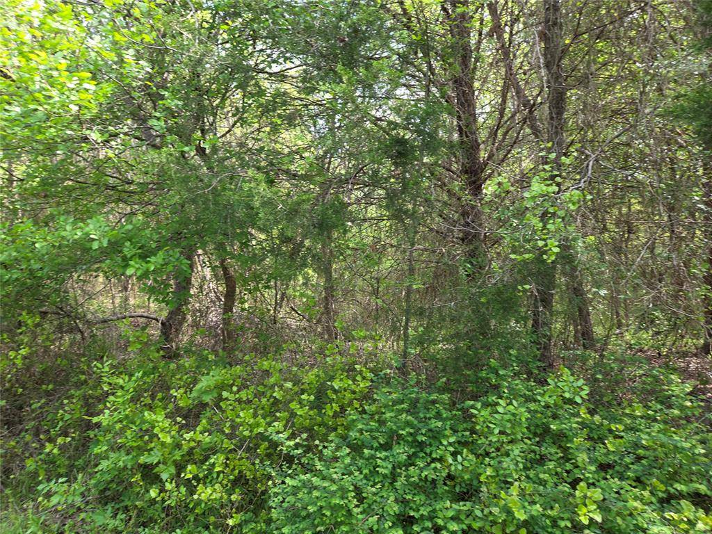 Corsicana, TX 75109,Lot 95 Stillwater Shores Drive