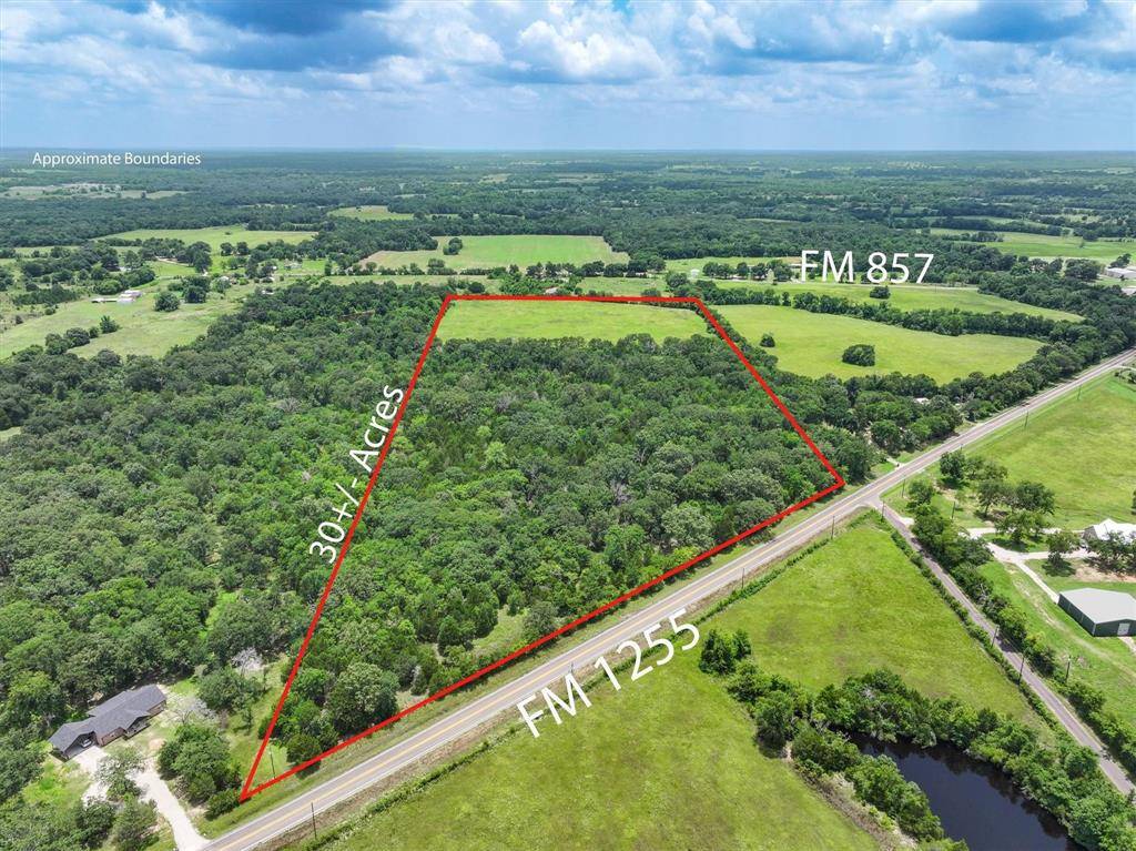 Grand Saline, TX 75140,30 Acres FM 1255