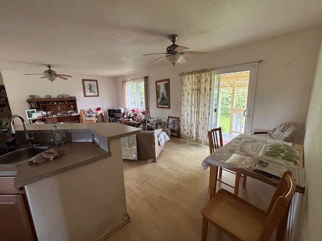 Pahoa, HI 96778,16-2132 UILANI DR