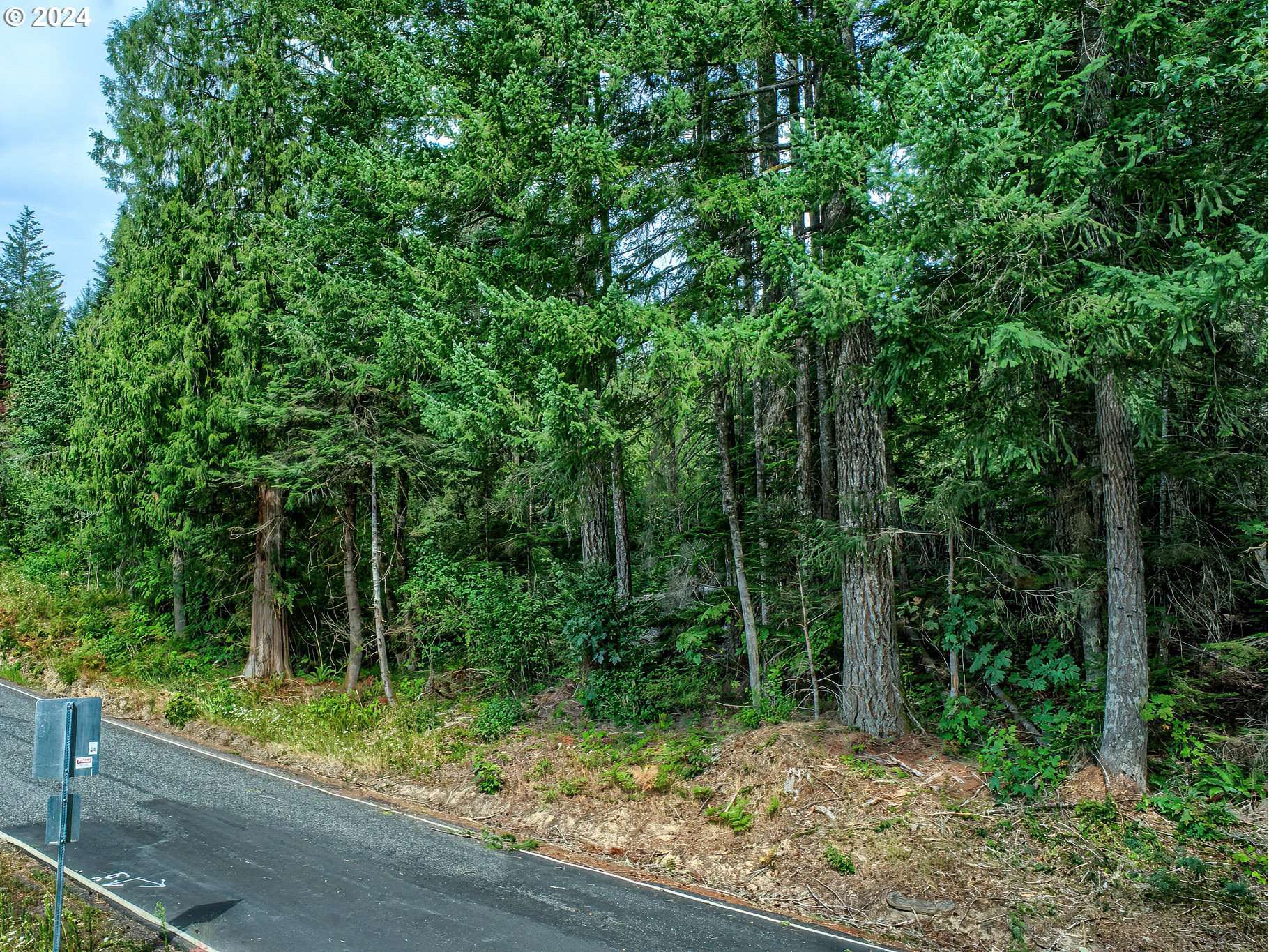 BEAR CREEK RD, Carson, WA 98610