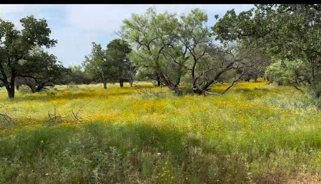 Loving, TX 76450,TBD Jayden Lane #Lot 1B