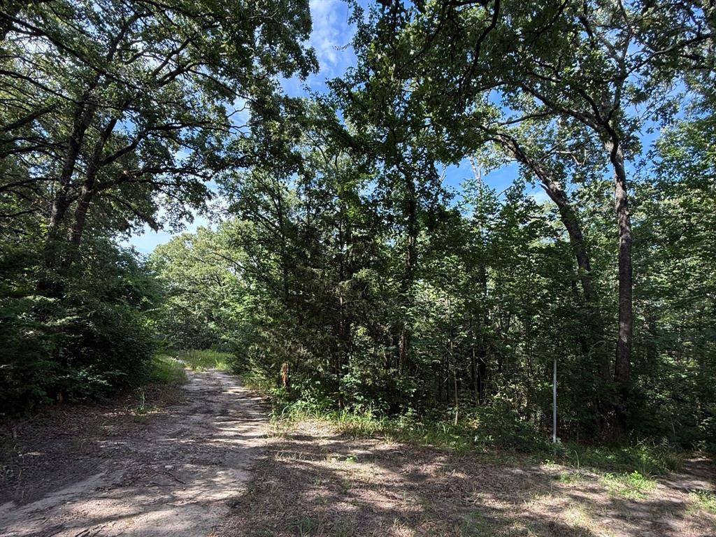 Quinlan, TX 75474,00 County Road 3605