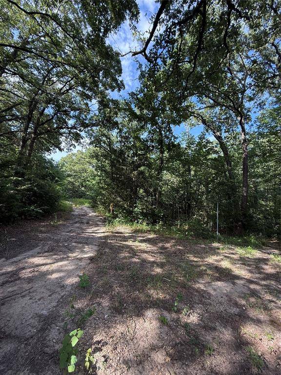 Quinlan, TX 75474,00 County Road 3605