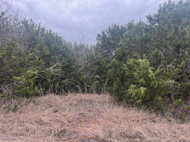 Whitney, TX 76692,36047 Cedar Ridge Drive