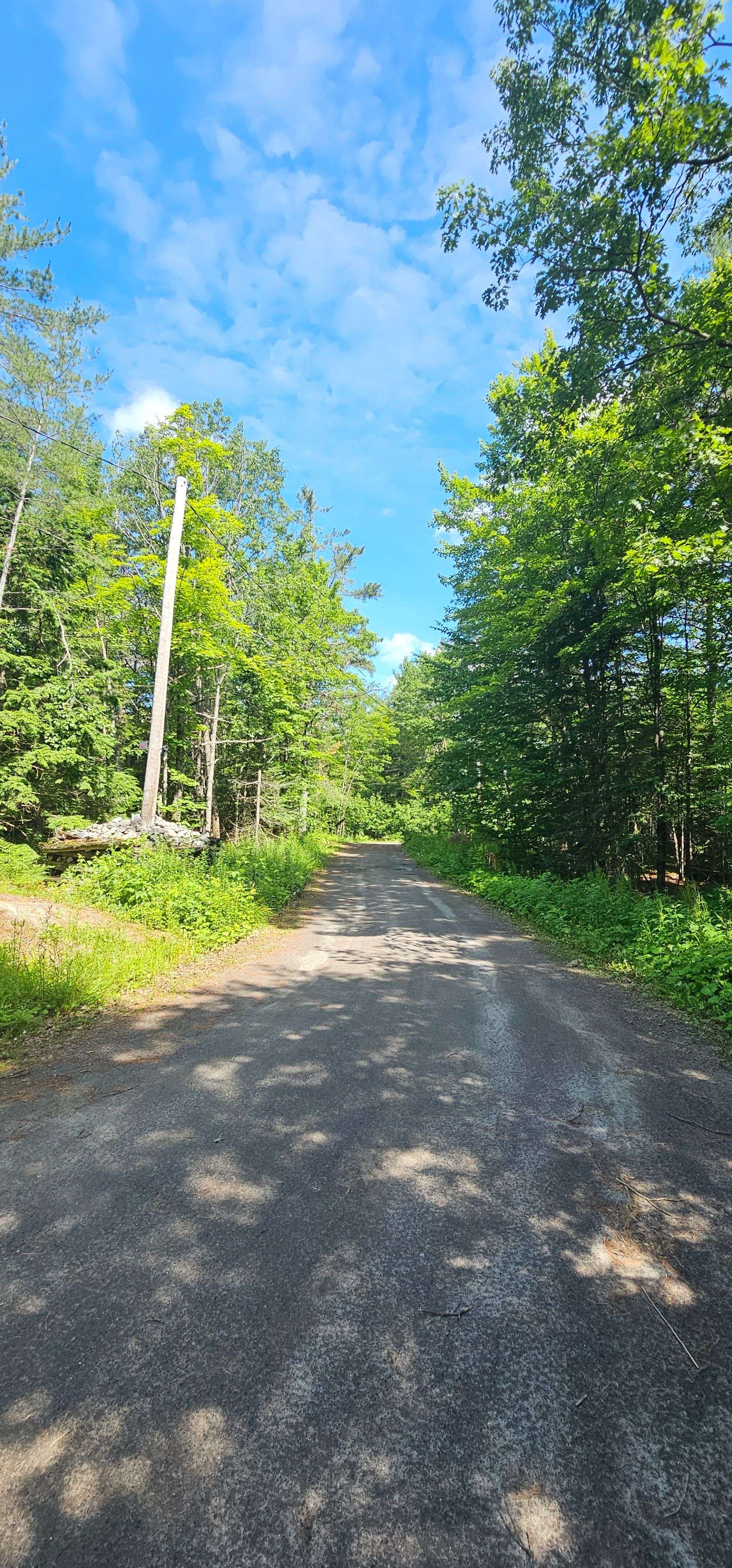 Bracebridge, ON P1P 1R3,1698 Reay RD