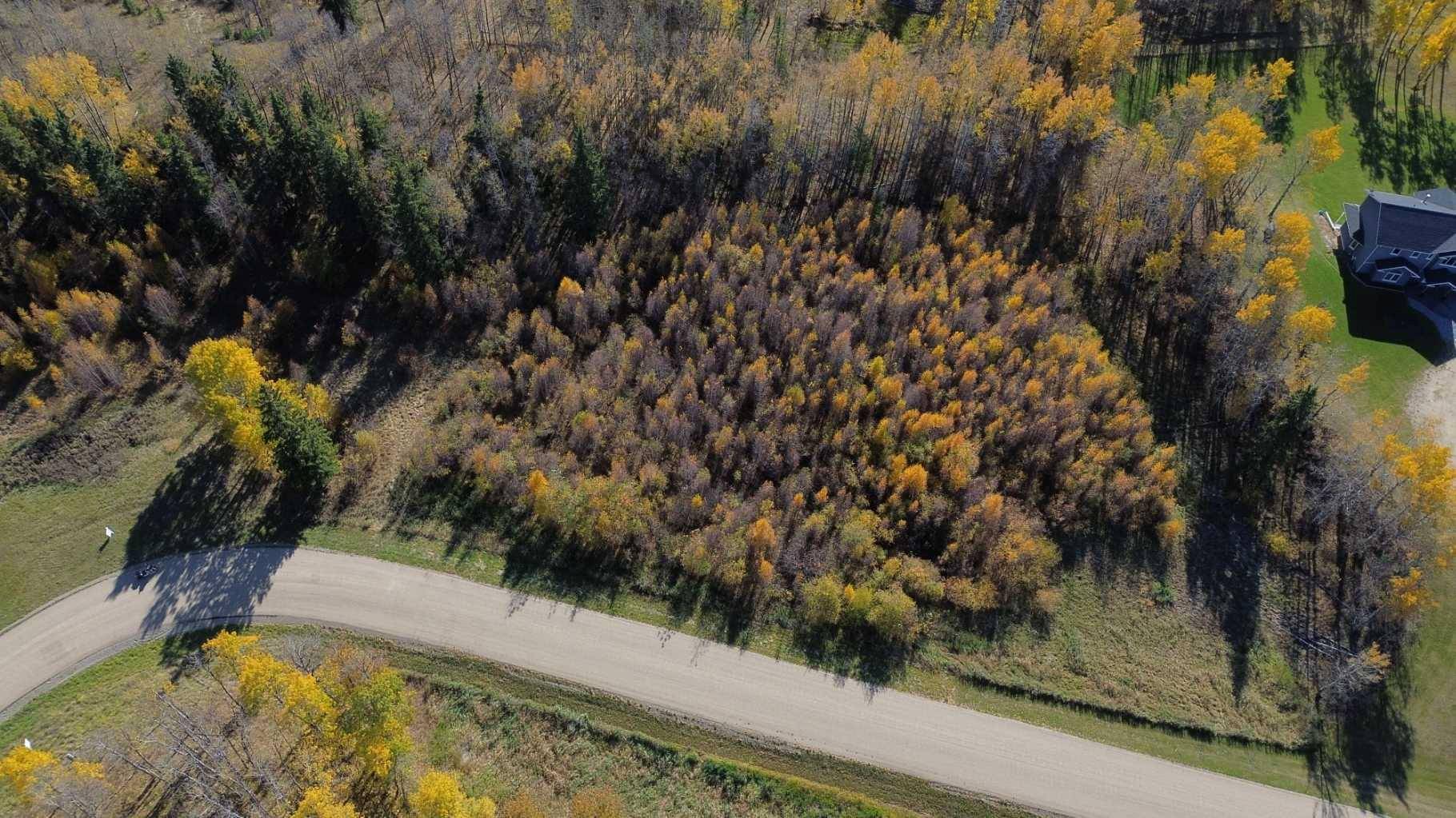 Rural Ponoka County, AB T0B 0H0,15015 Township Road 424 Township #9