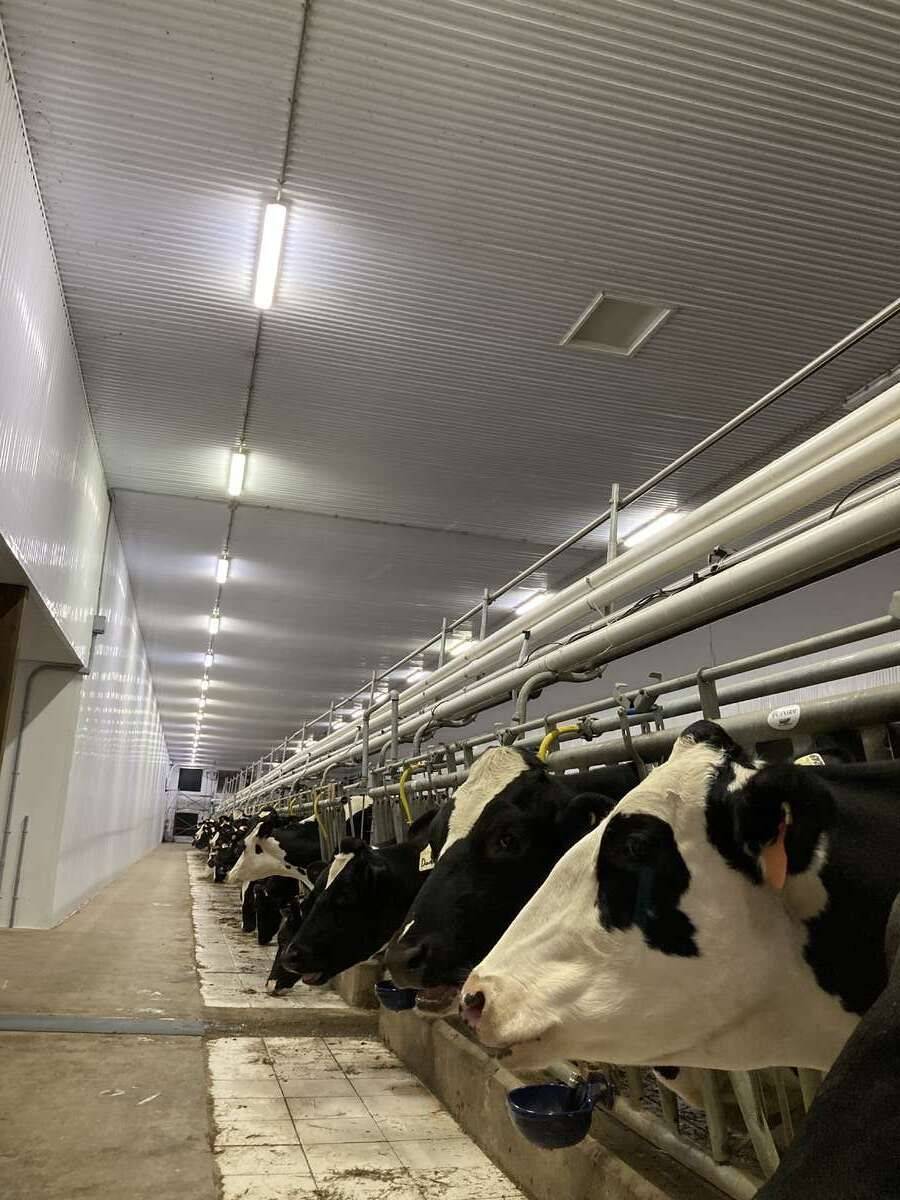 406 Durack Line, Admaston/bromley, ON K0J 1K0