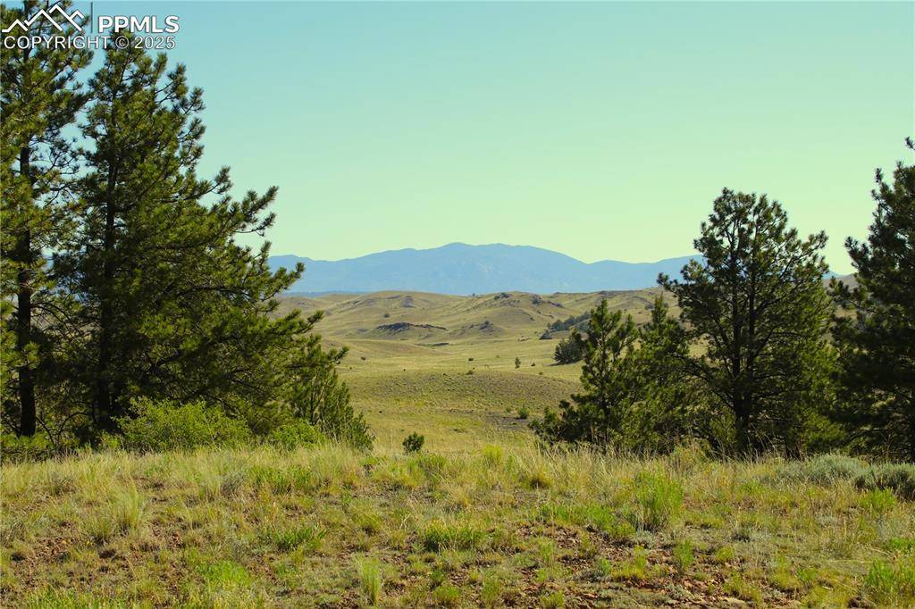 Hartsel, CO 80449,Hill RD