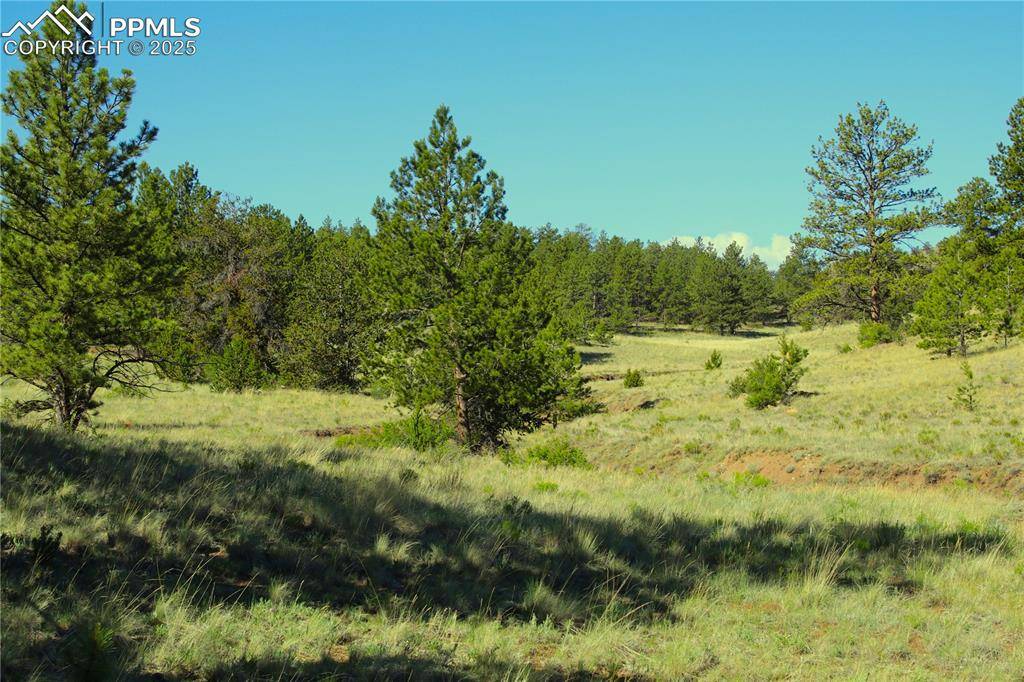Hartsel, CO 80449,Hill RD