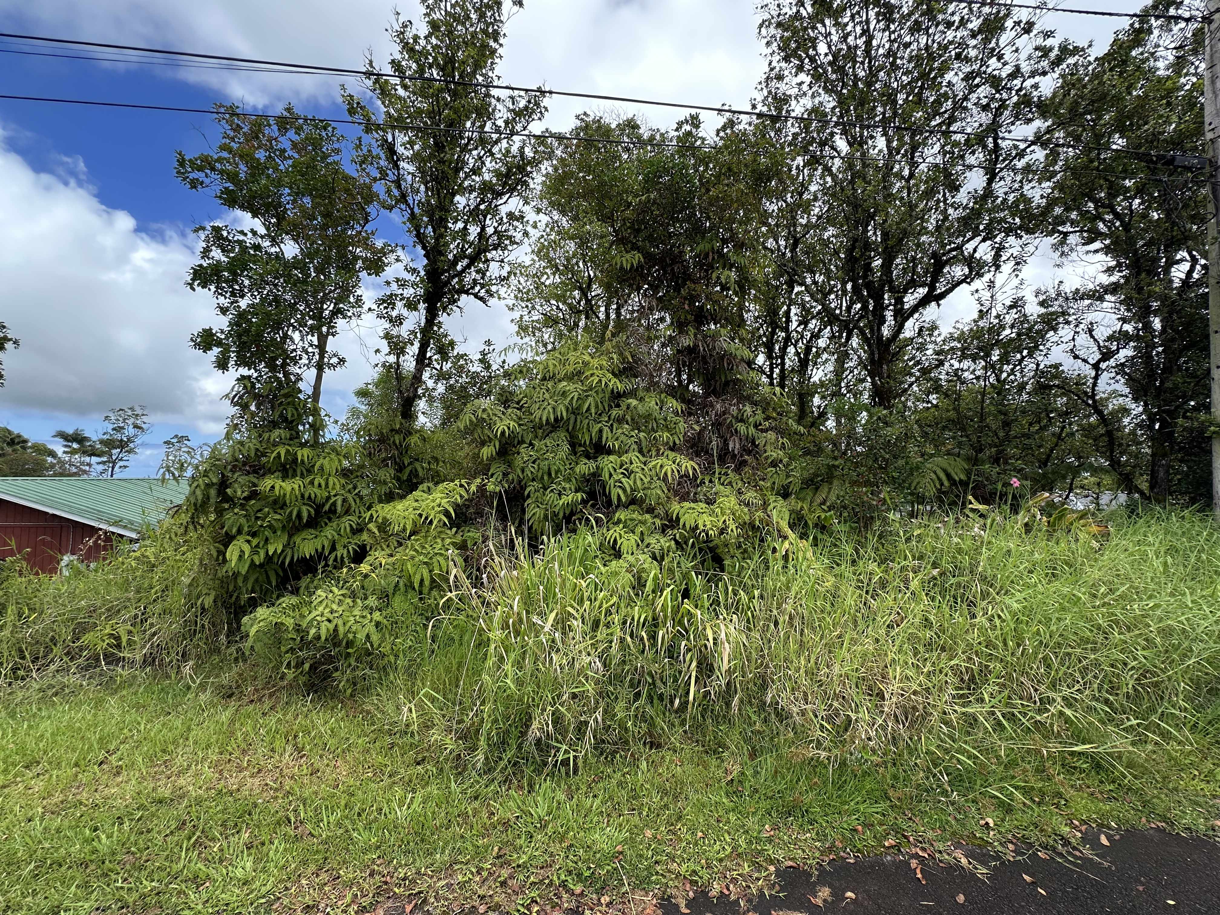 Hilo, HI 96720,25-82 MALUMALU ST