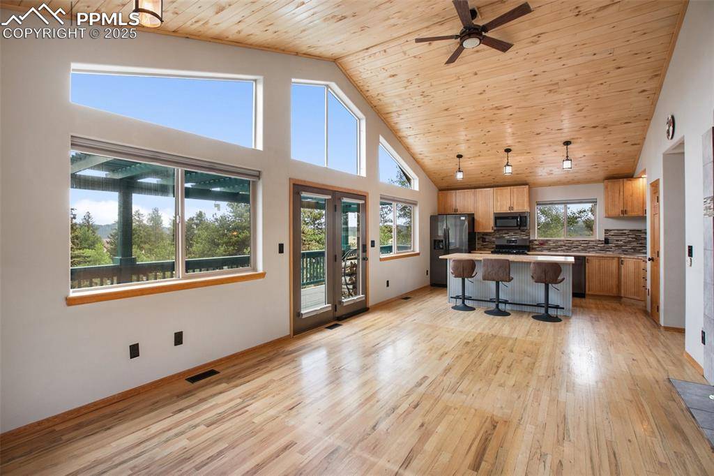 Florissant, CO 80816,163 Big Horn LN