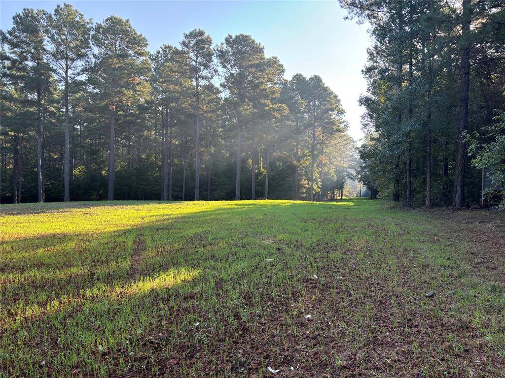 Benton, LA 71006,00 Old Plain Dealing Road