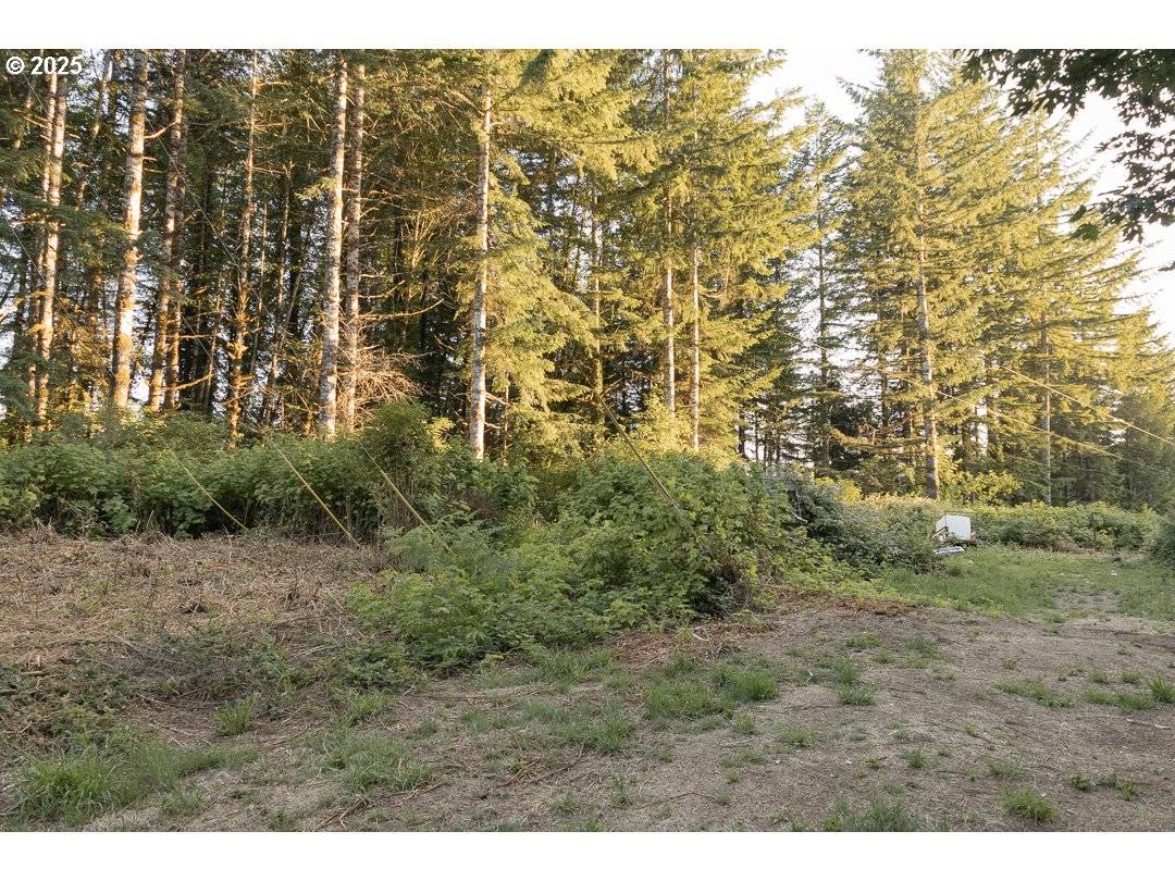 Toledo, OR 97391,Elk City Rd