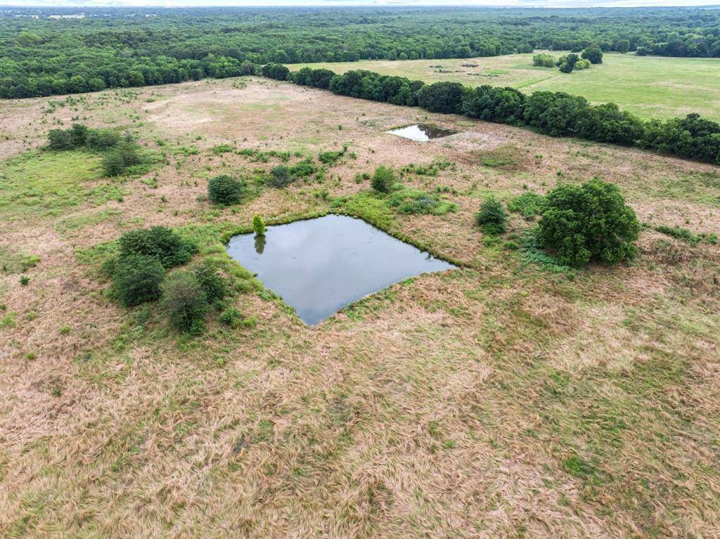 Klondike, TX 75448,0000 County Road 2085