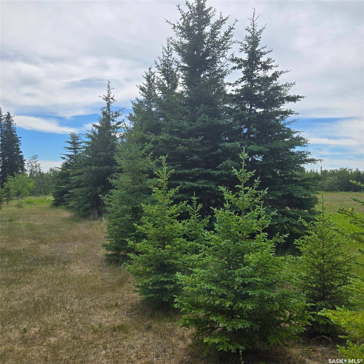 Canwood Rm No. 494, SK S0J 2G0,Rural Address