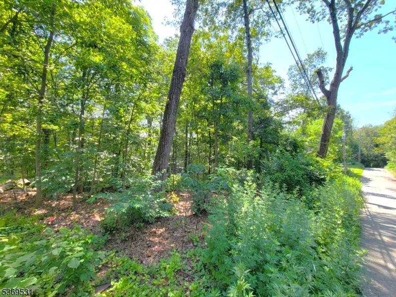 West Milford Twp., NJ 07421,0 Kresson Rd