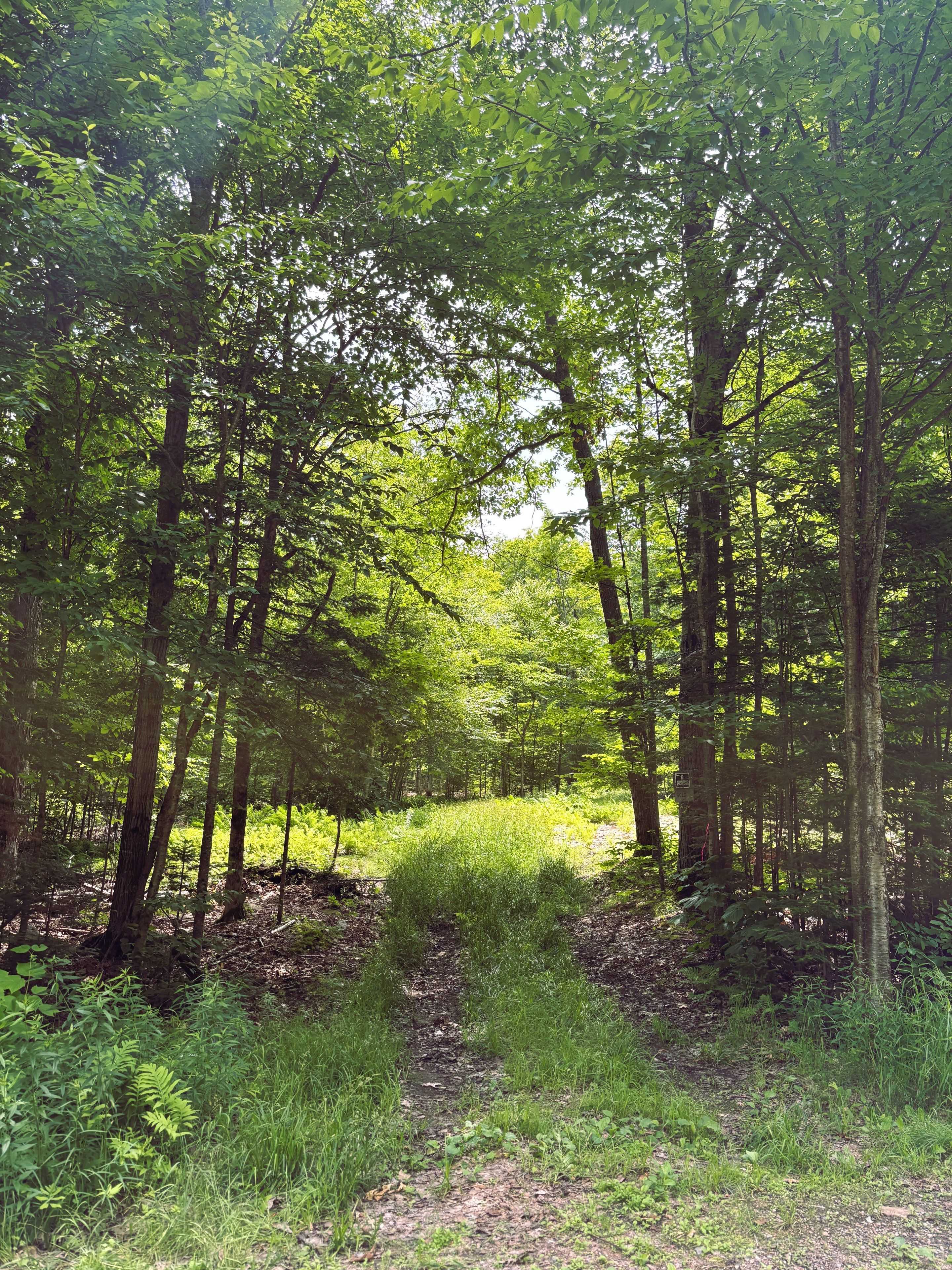 Madawaska Valley, ON K0J 1L0,0 Peplinskie RD