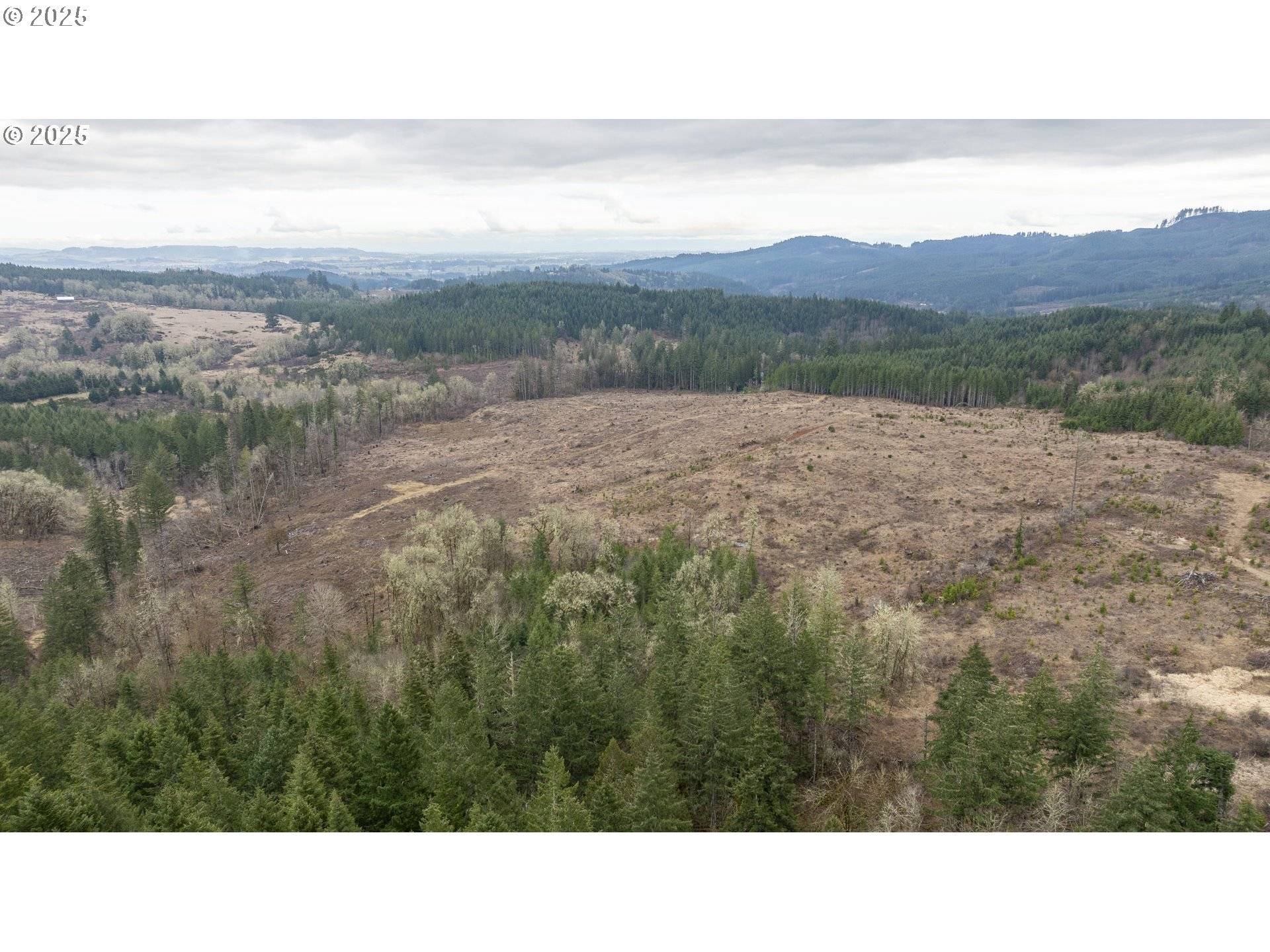 Carlton, OR 97111,0 NW Panther Creek