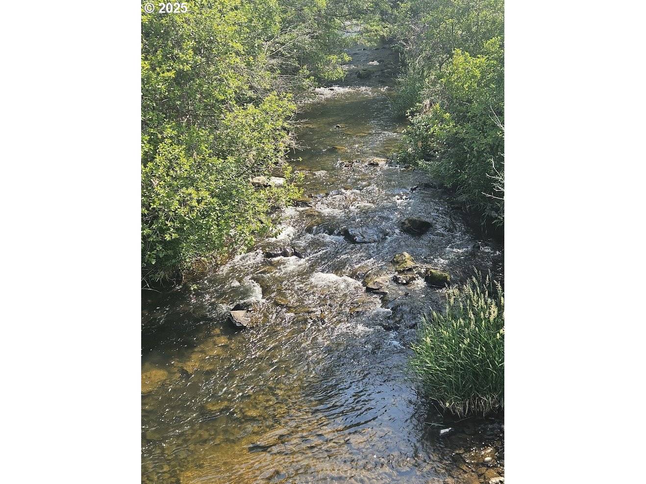 Centerville, WA 98613,Olson RD